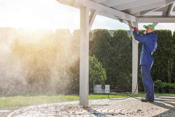 Best Driveway Pressure Washing  in Jefferson City, TN